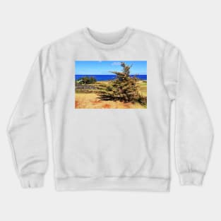 Christmas Tree on Easter Island - Rapa Nui Crewneck Sweatshirt